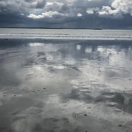 Clarefornia Stone Shed