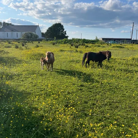 아파트 Clarefornia Stone Shed *
