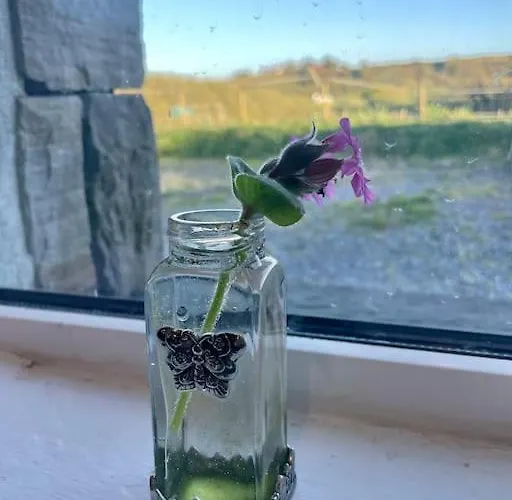 Clarefornia Stone Shed *