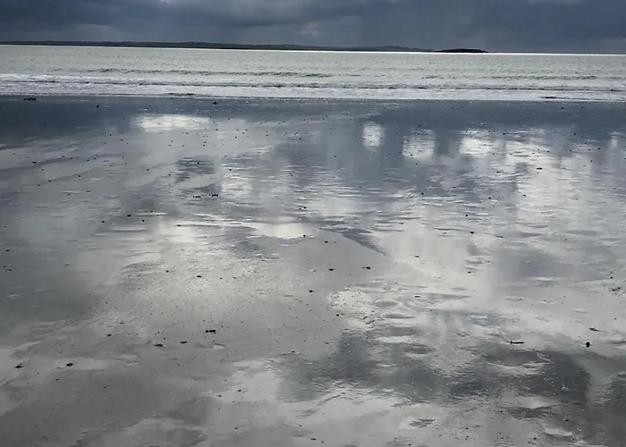 Clarefornia Stone Shed