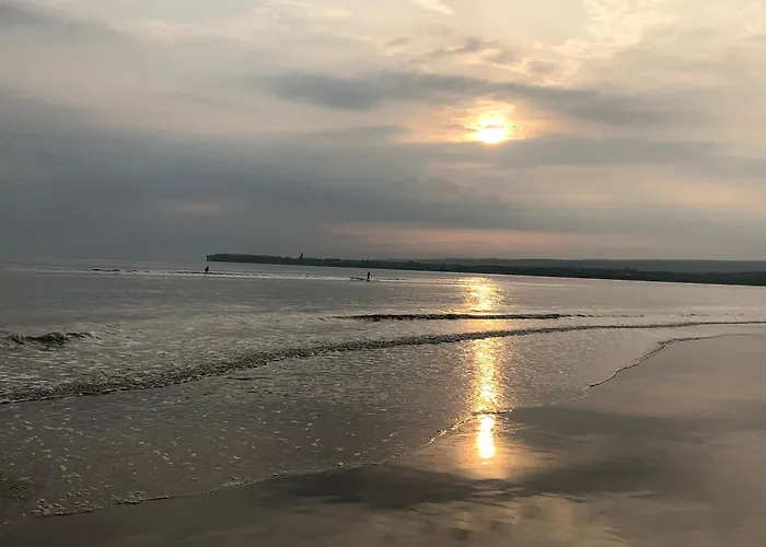 Clarefornia Stone Shed 아파트 *